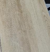 Фиджи Дуб Тасман