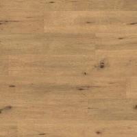 c131d9d8-80f4-11ed-8cbc-ac1f6bd2c4d7_c131d9da-80f4-11ed-8cbc-ac1f6bd2c4d7