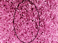 8d59d1eb-0b5e-11ee-8cd2-ac1f6bd2c4d7_575d783a-2d09-11ee-8cda-ac1f6bd2c4d7