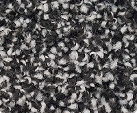 7f2a6462-7499-11ee-8ce9-ac1f6bd2c4d7_dec108c7-c0c5-11ee-8cf2-ac1f6bd2c4d7