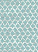 07869A_FIA11_BLUE-BLUE