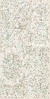 42155-19-200X300-O-542a6