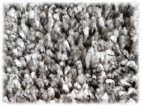 b129741f-7cf4-11e7-99b3-d850e63cd161_97f7a914-7e6e-11e7-acbe-d850e63cd161