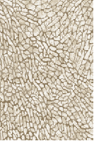 5718а7 гавана