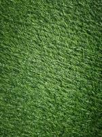 ImportedPhoto_1711703201924