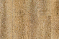 308 Дуб Ланди