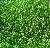 d623cbba-a2c1-11ed-8cc2-ac1f6bd2c4d7_117b9fd5-09fa-11ee-8cd2-ac1f6bd2c4d7